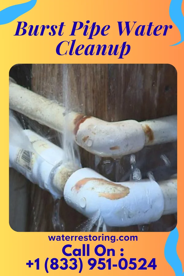 Burst Pipe Water Cleanup in Carthage, NY