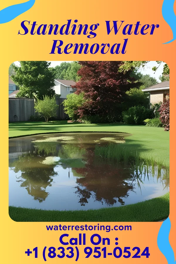 Standing Water Removal in Carthage, NY